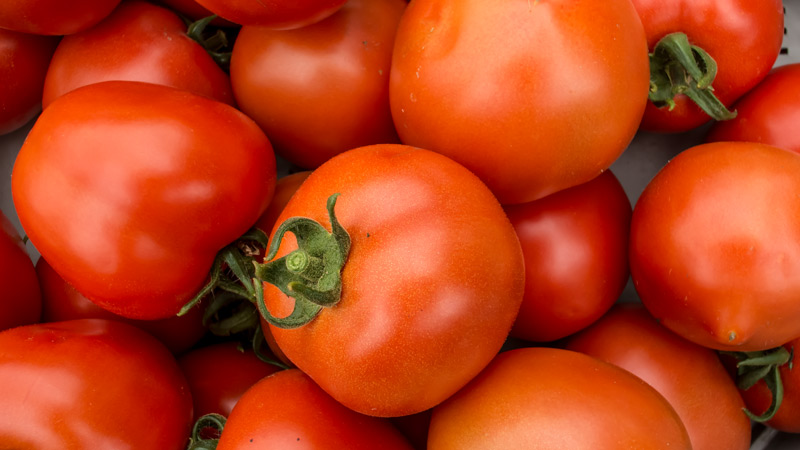 Runde Tomaten