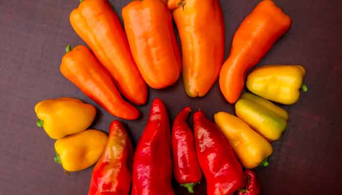 Snack Paprika